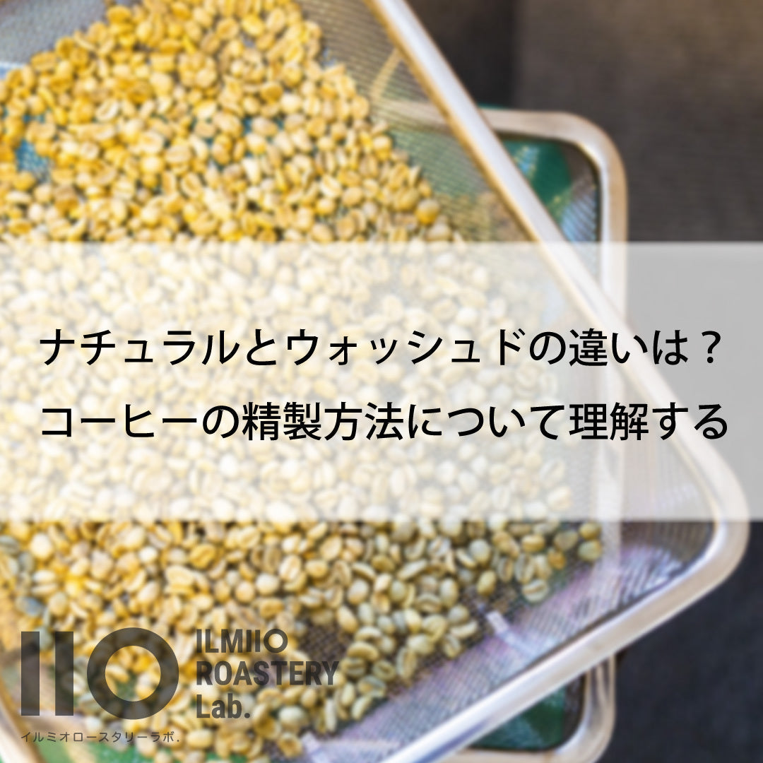 コーヒーのナチュラルとウォッシュドの違いは?精製方法について理解する