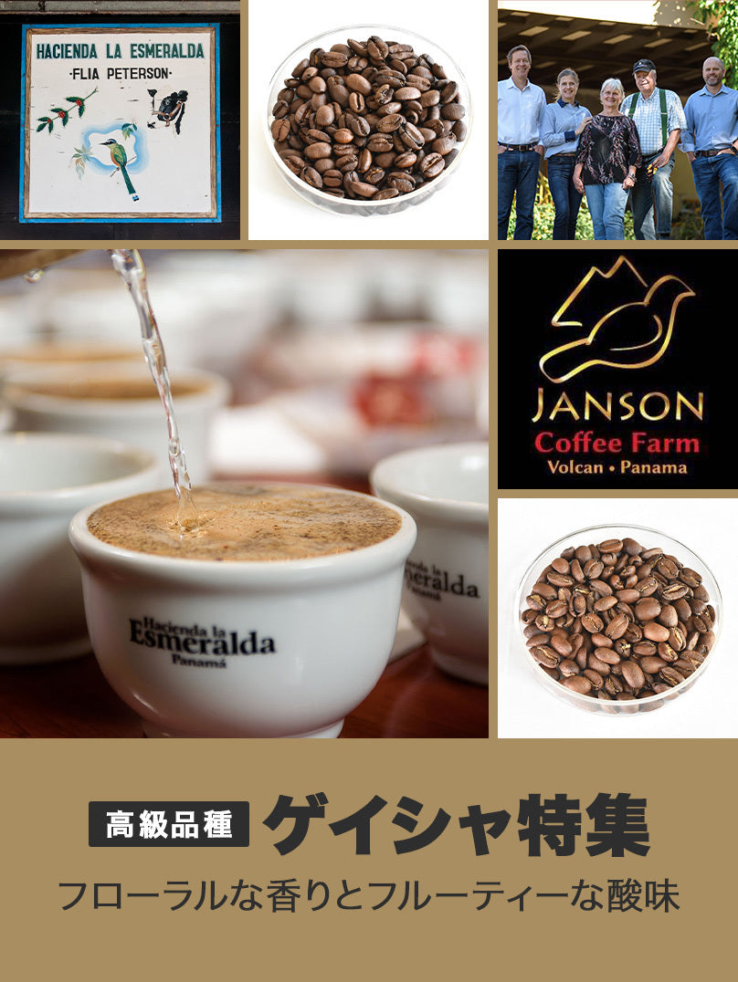 ゲイシャ コーヒー