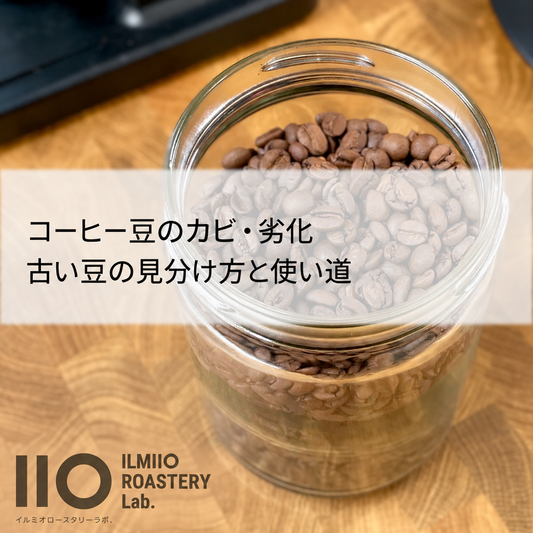 コーヒー豆のカビ・劣化｜古い豆の見分け方と使い道