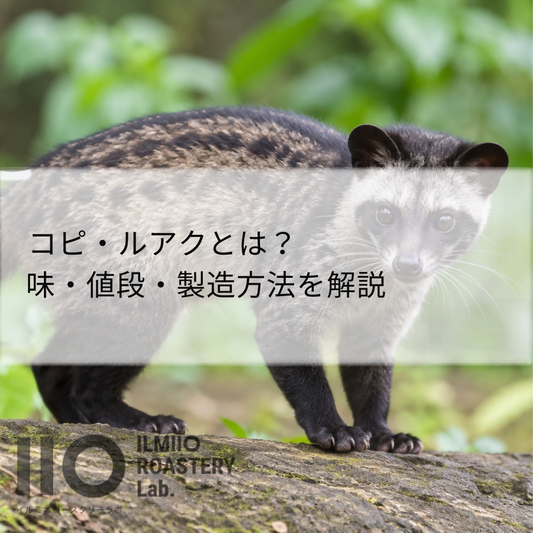 コピ・ルアク（ジャコウネココーヒー）とは？味・値段・製造方法を解説