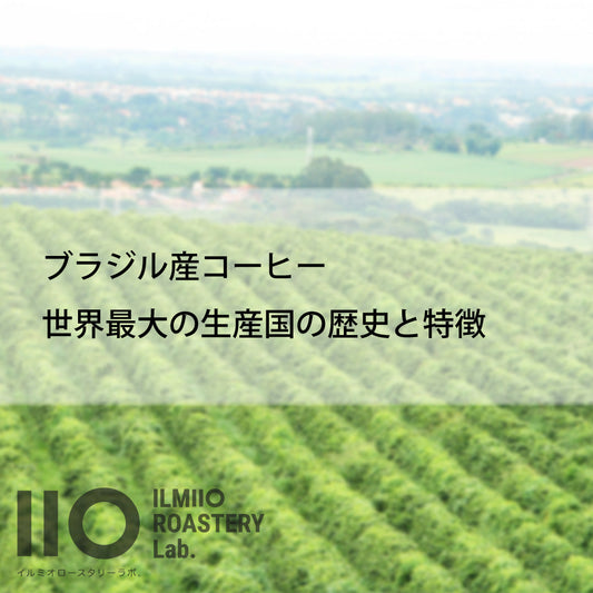 ブラジル産コーヒー 世界最大の生産国の歴史と特徴