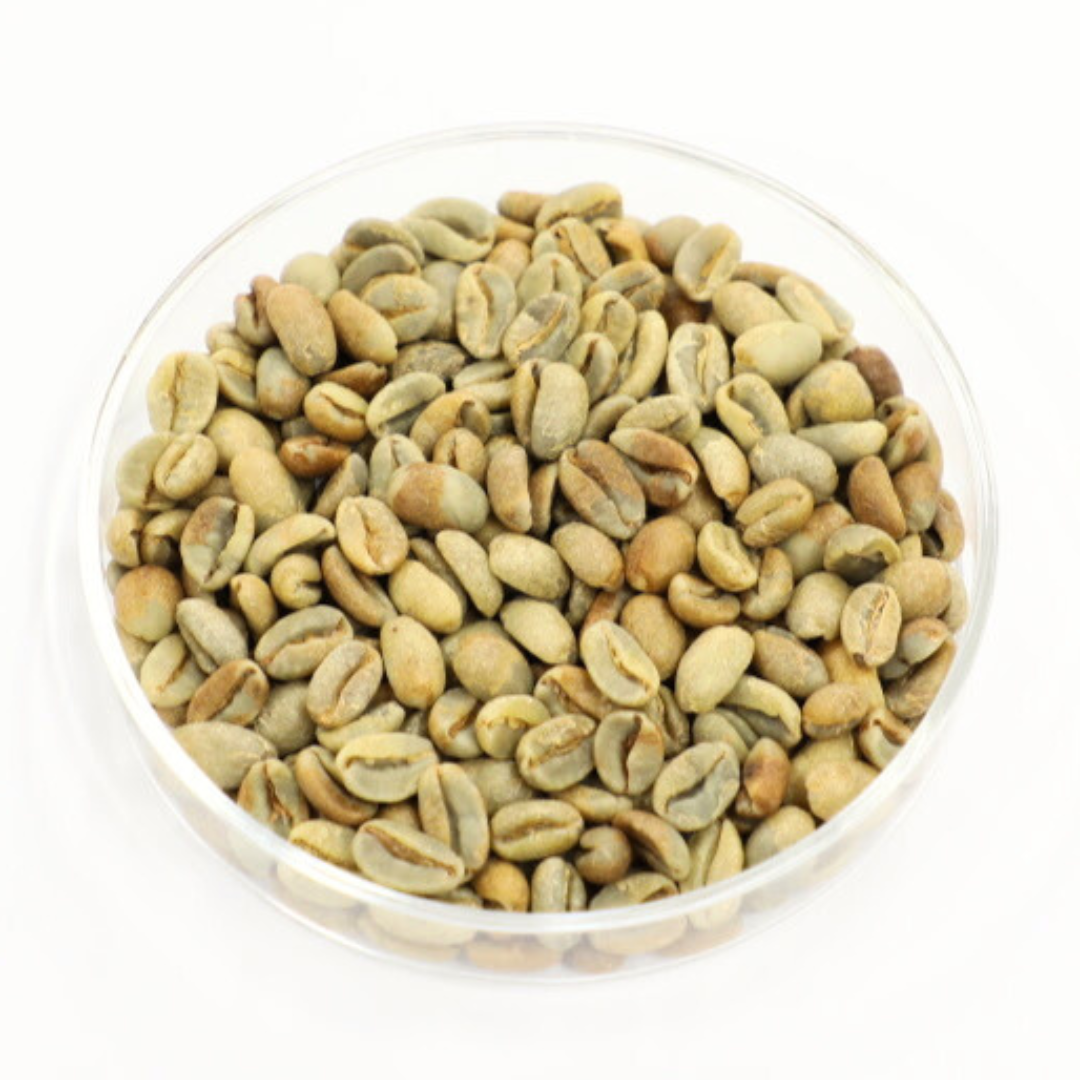 パナマ ドスへフェス農園のゲイシャ生豆