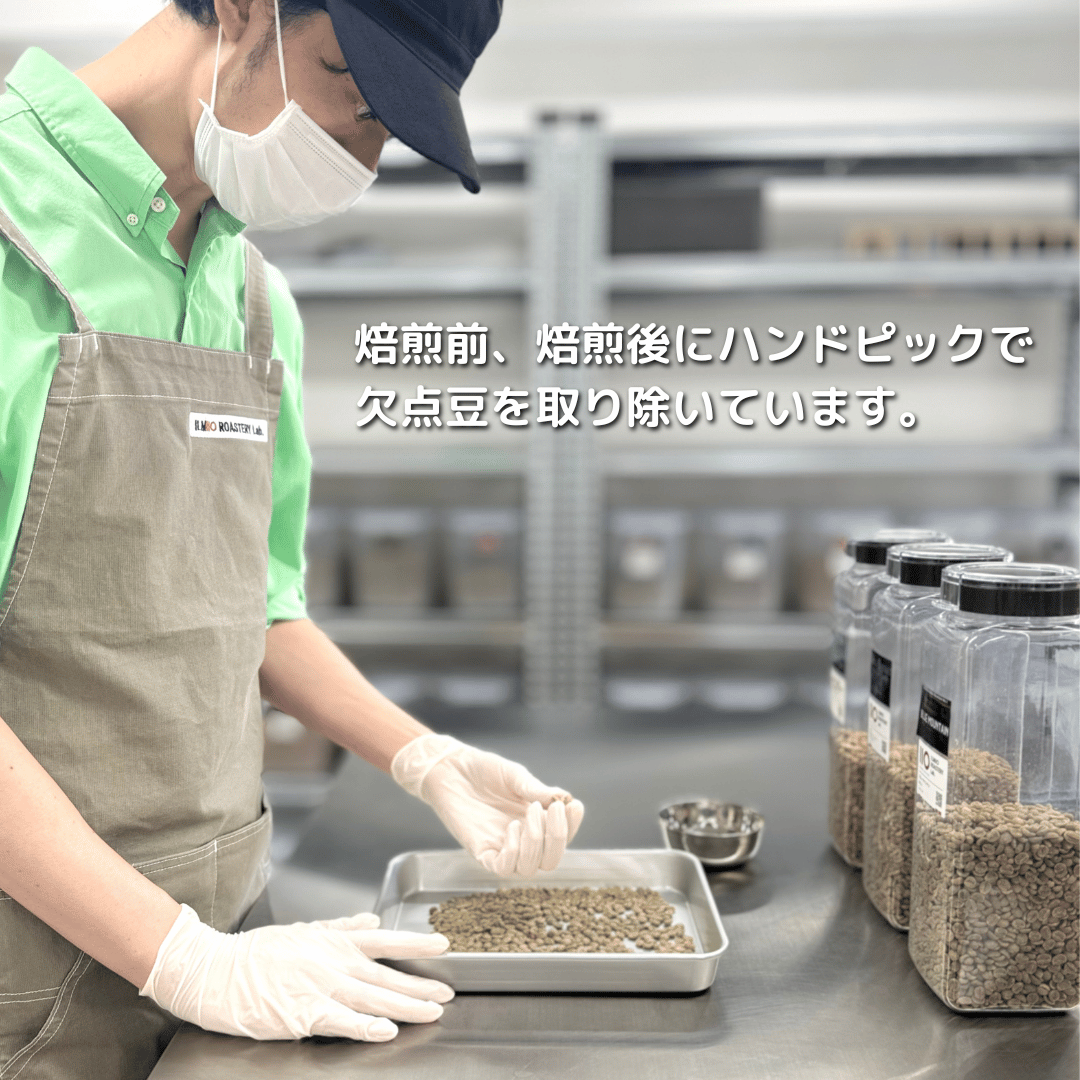 コーヒー豆 生豆 スラウェシ ママサ 5.7キロ idn_mamasa_roasted コーヒー豆 生豆 スラウェシ ママサ 5.7キロ idn_mamasa_roasted